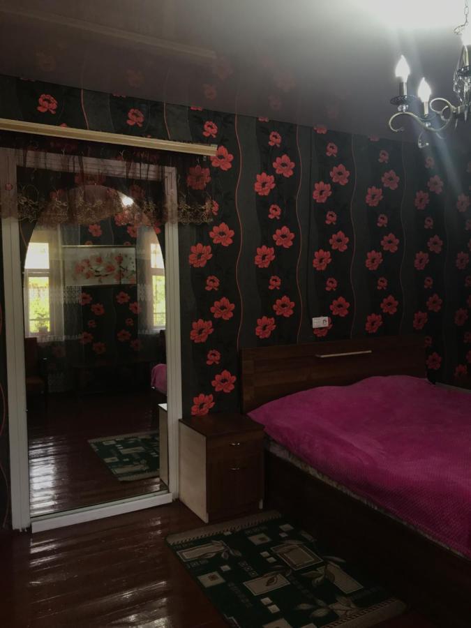 Tqvarcheli Гостевой Дом "Амза" Bed & Breakfast エクステリア 写真